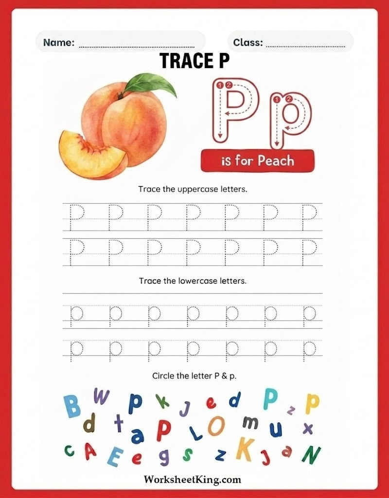 Letter P tracing worksheet for preschool and kindergarten children