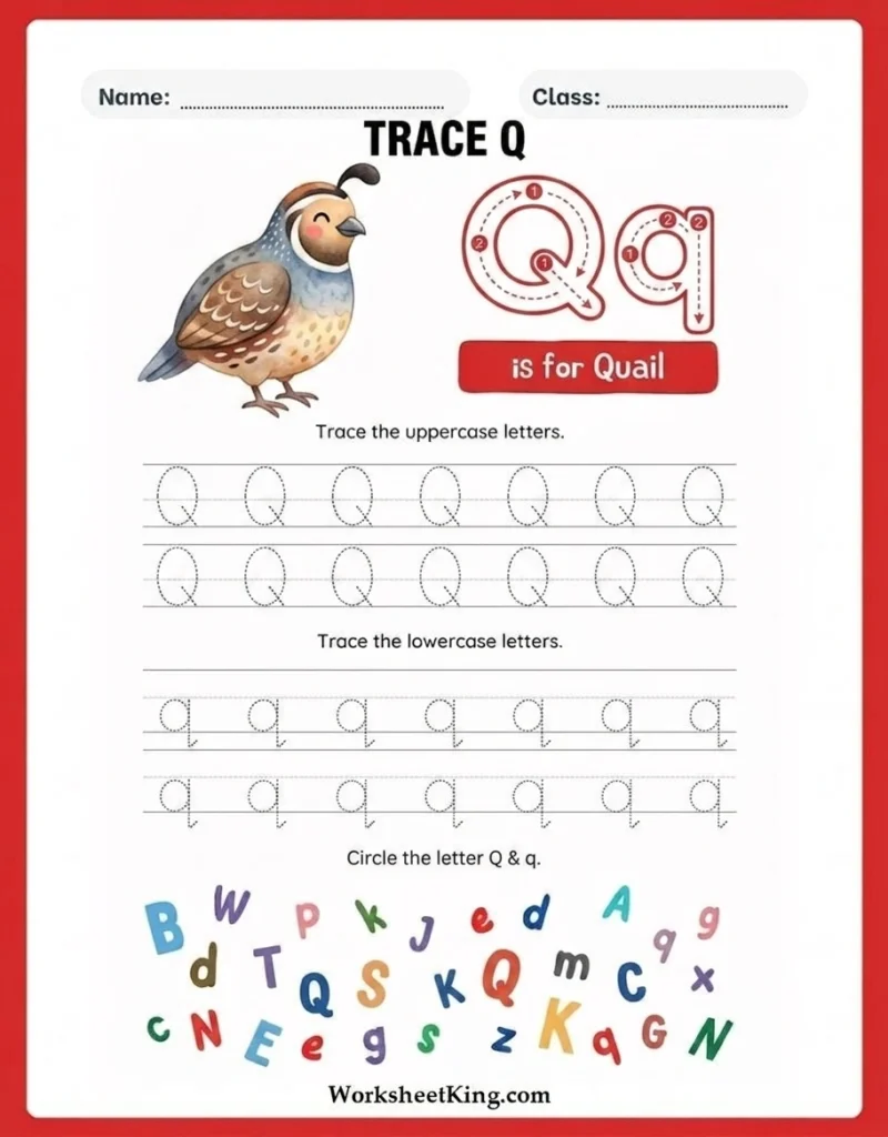 Letter Q tracing worksheets for preschool and kindergarten